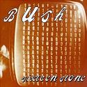 Bush discography