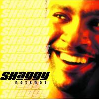 Shaggy find a song